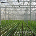 Design agriculturial glass steel structure greenhouse